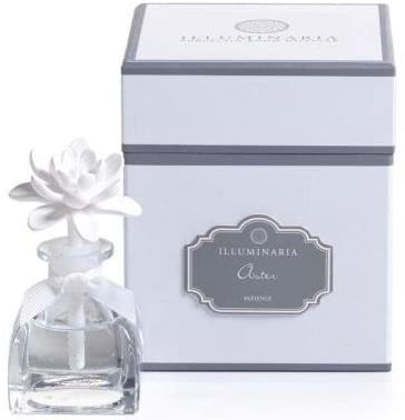 Aster Illuminaria Porcelain Diffuser